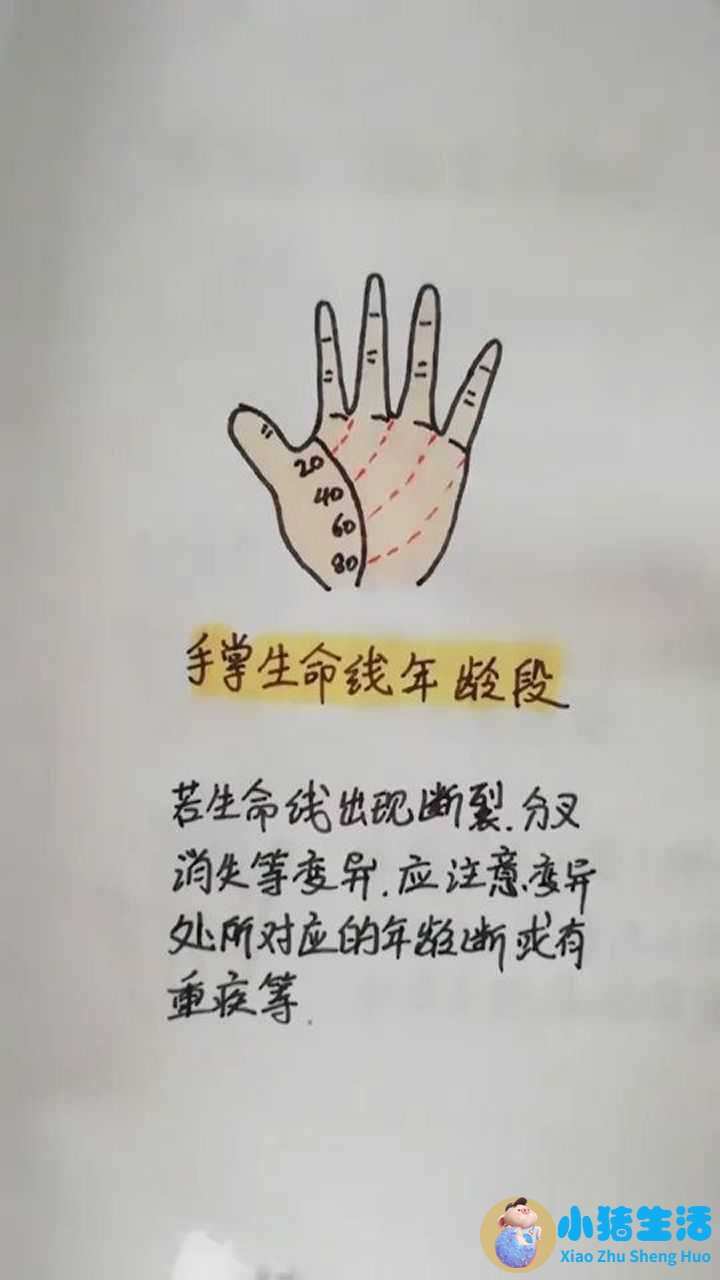 女人手纹生命线是哪条,女人手相生命线是