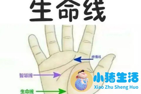 射手座男人魅力