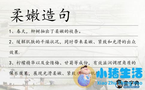 美丽加分蔷薇面膜功效 柔嫩造句