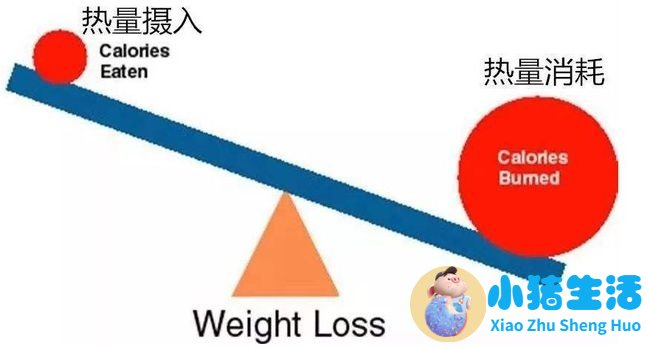 饮食减肥计划表