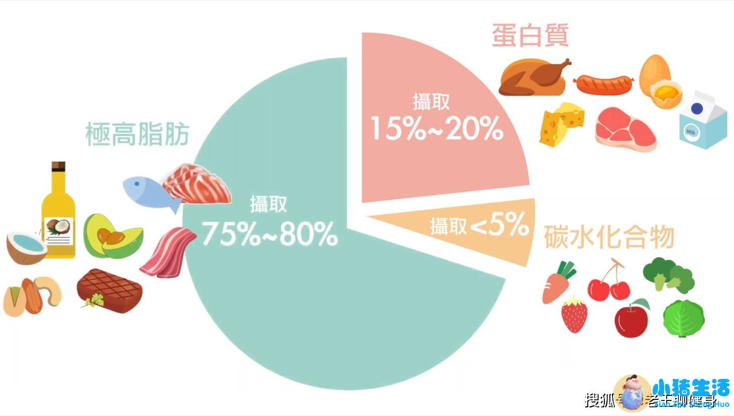 饮食减肥计划表