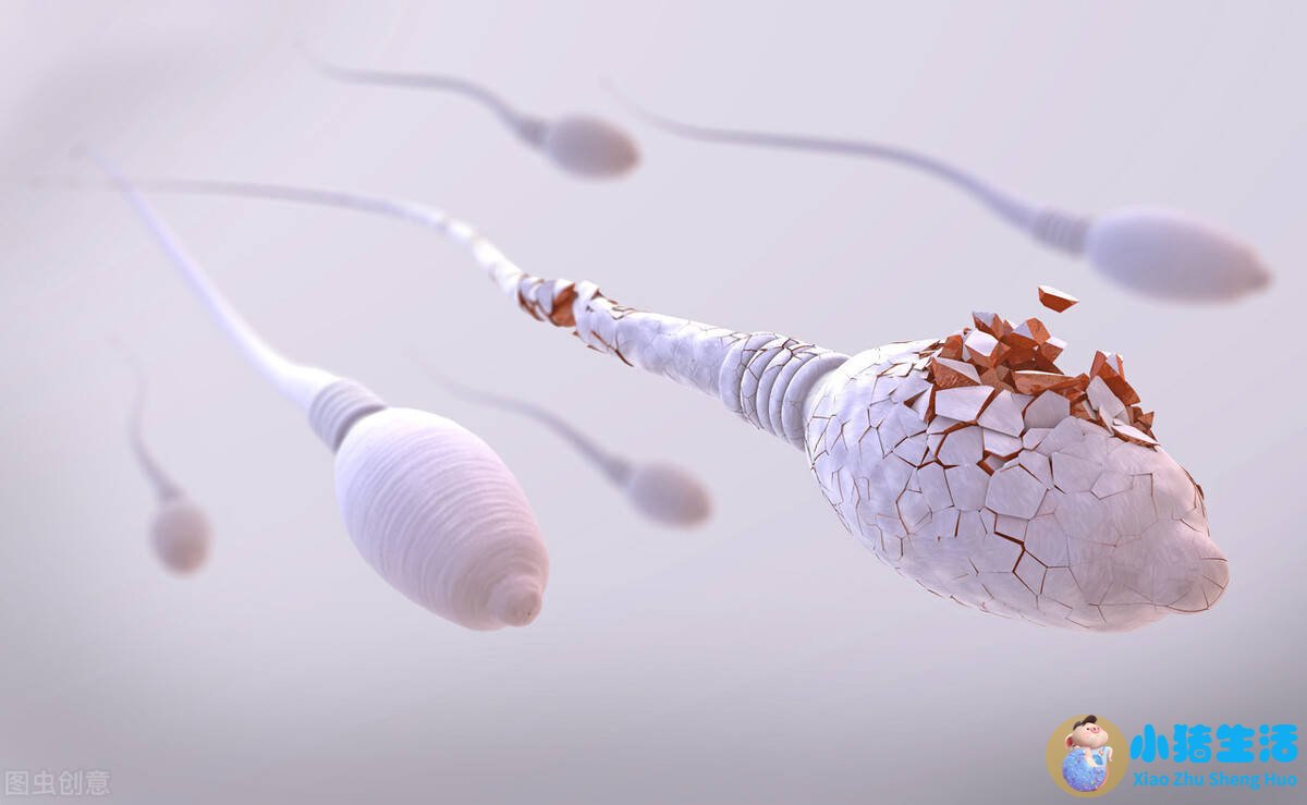 吃男性精子会有副作用吗更新时间:2016-