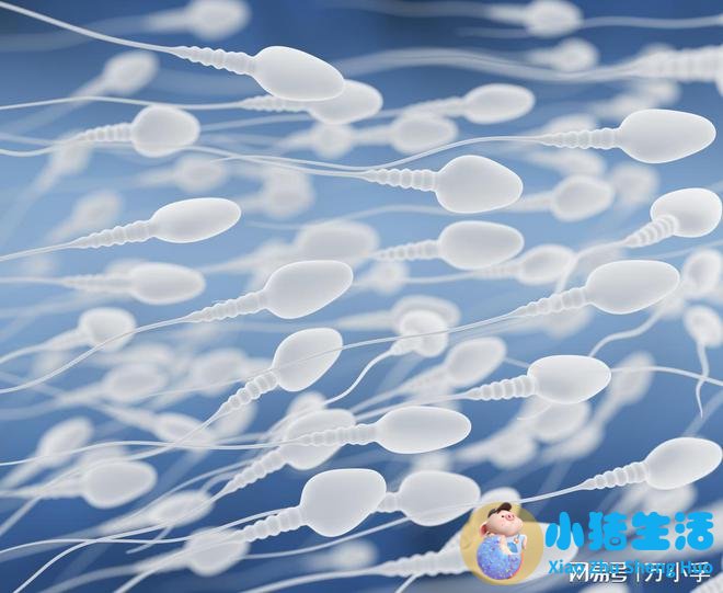 男性保健品有副作用吗