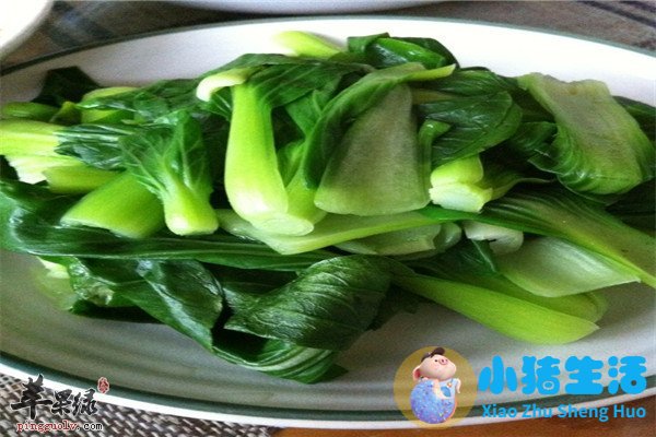 饮食减肥计划表