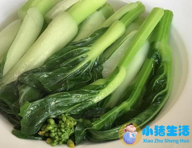 饮食减肥计划表