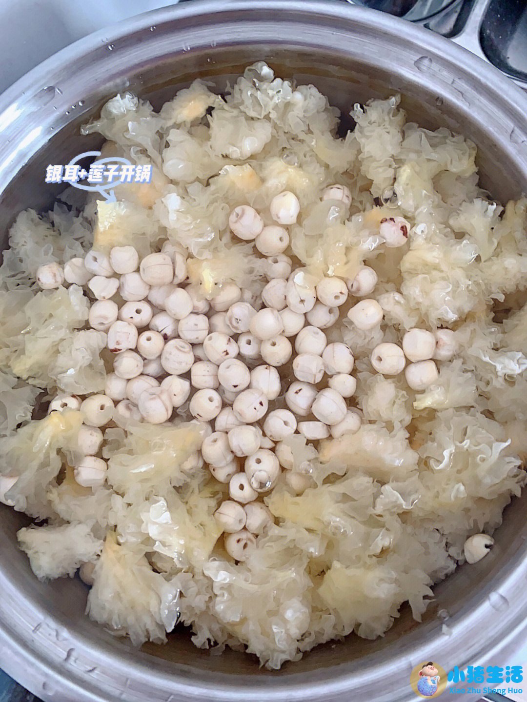银耳的副作用和禁忌症