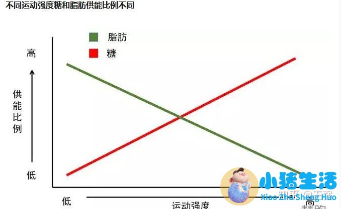 怎样减肥最快最有效 10个运动助你快速瘦