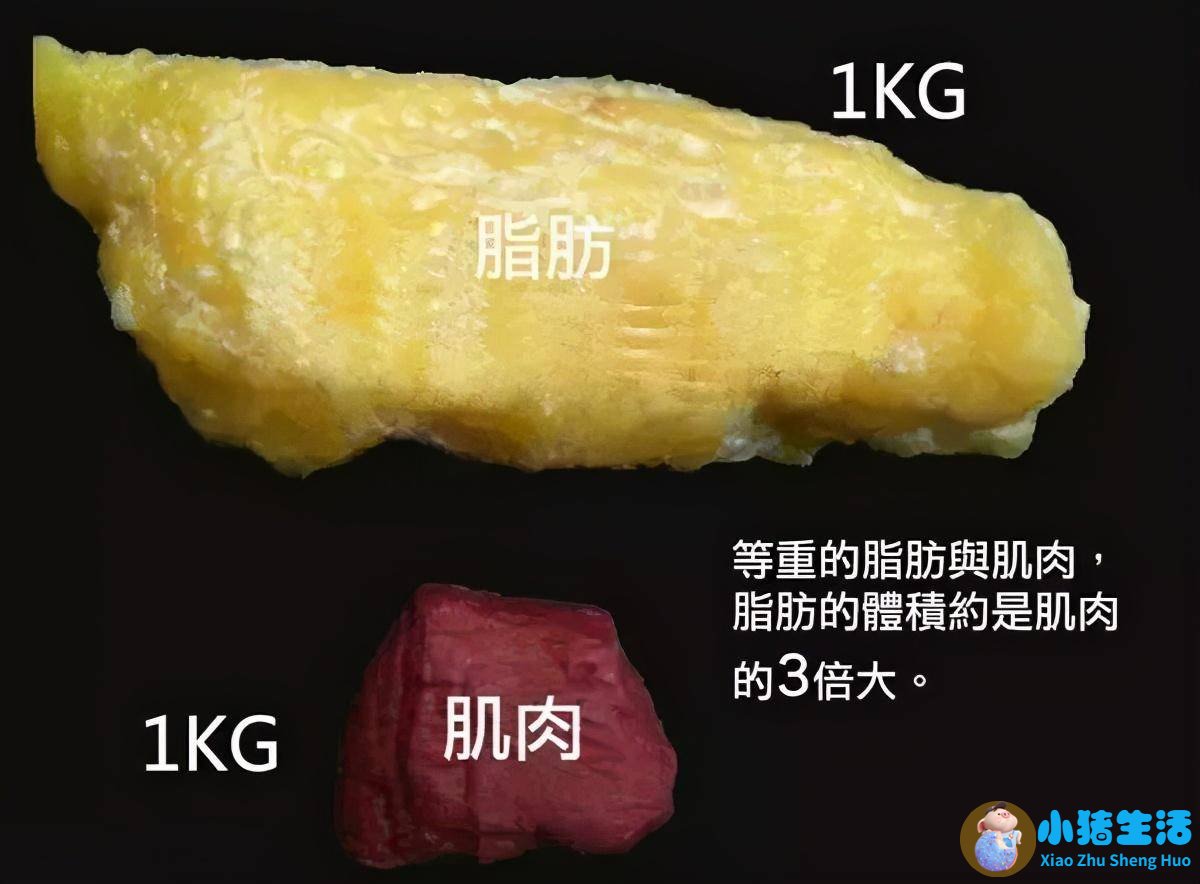 怎么样运动减肥最快最有效