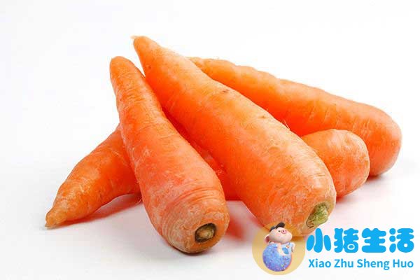 早期教育中培养宝宝对食物的兴趣的解析