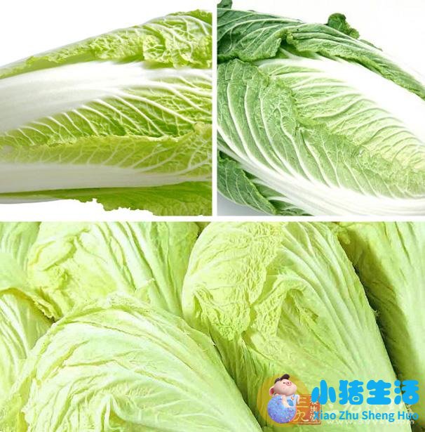 绿色养生食品