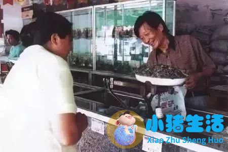 安徽省医改