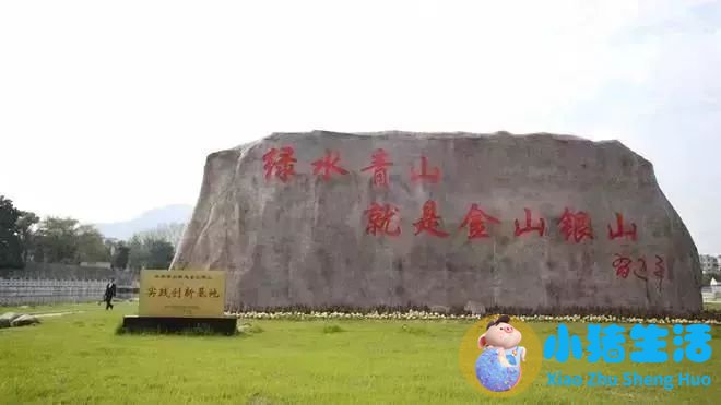 安徽省医改