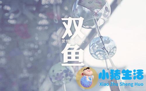 做梦追求女孩