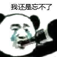 做梦追求女孩