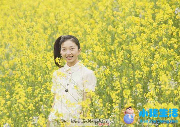 做梦追求女孩