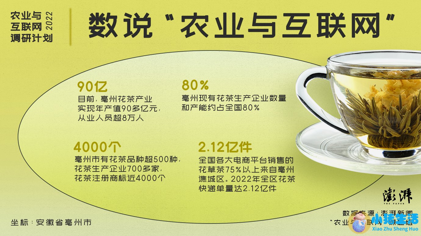 农业与互联网｜亳州花茶产业找准新赛道