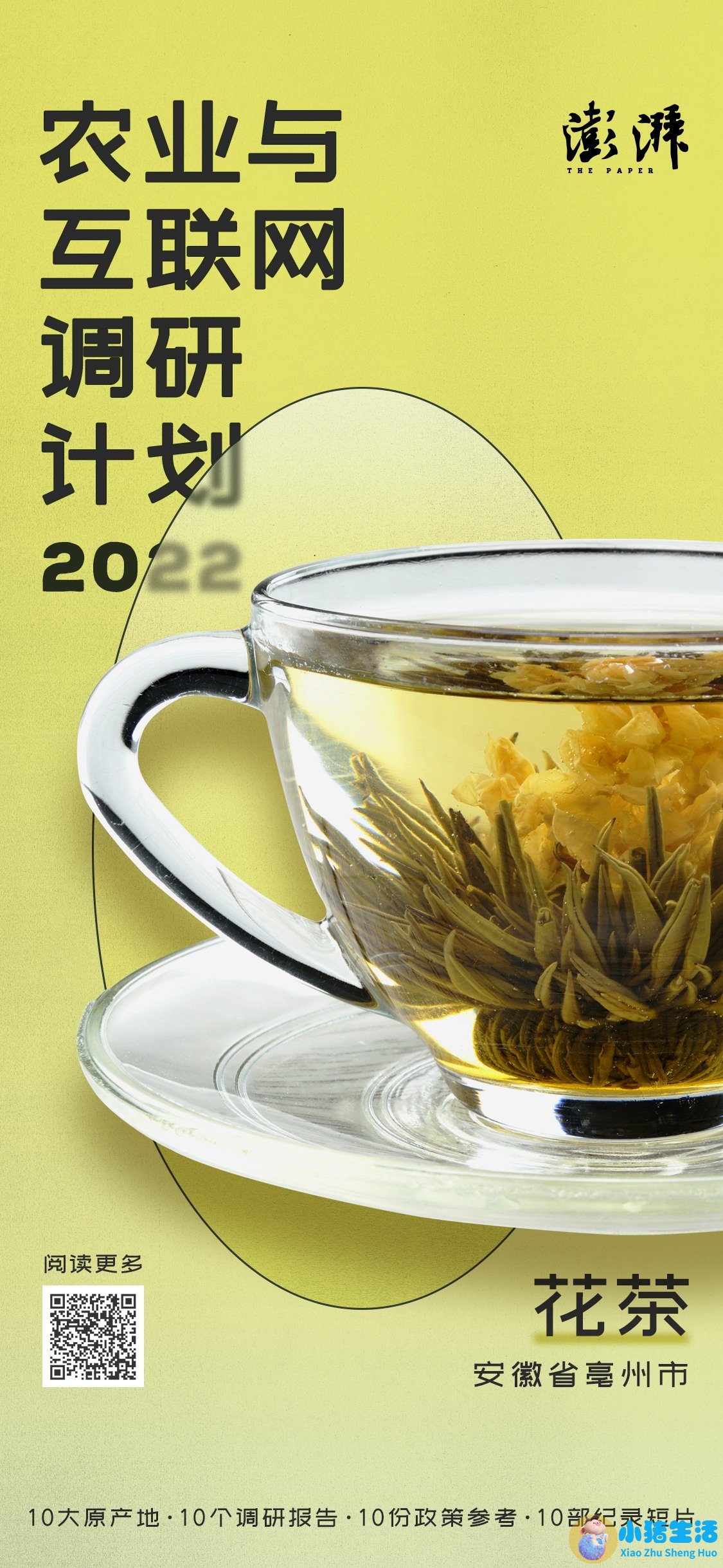 女性养生花茶