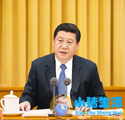 医改自评报告