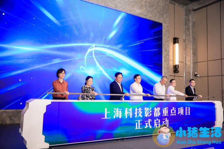 医改自评报告