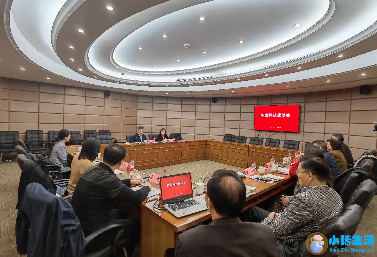 医改自评报告