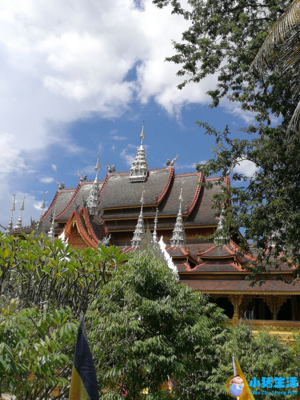 西双版纳旅游景点门票