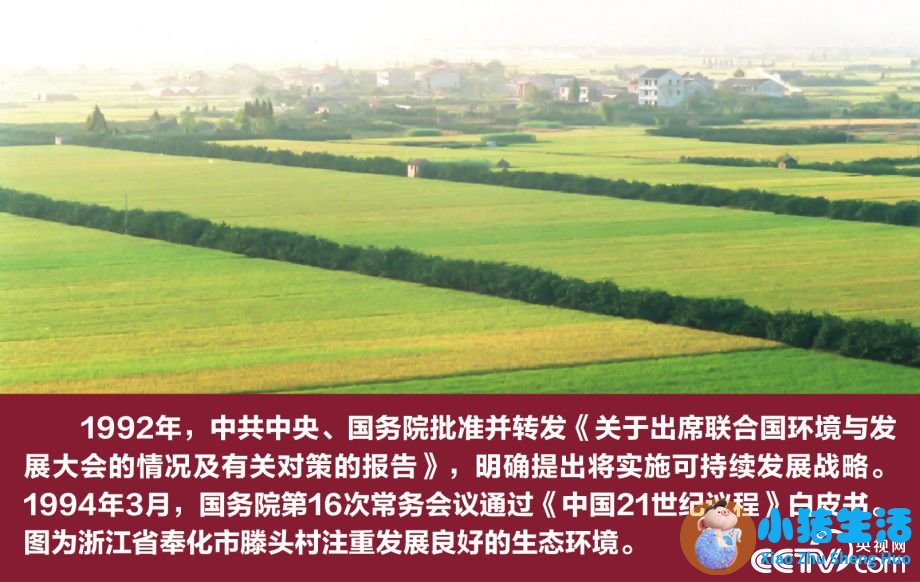 在改革开放中坚持和发展中国特色社会主