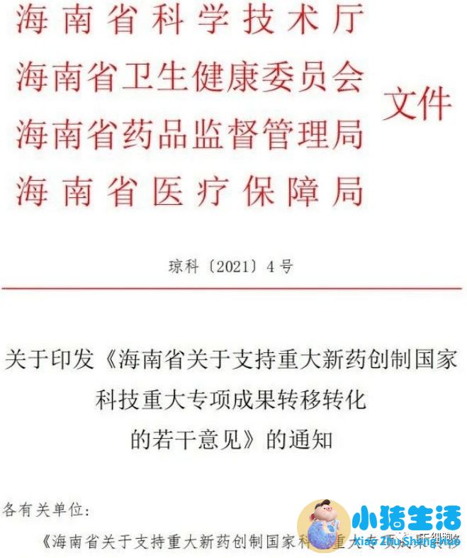 医改自评报告