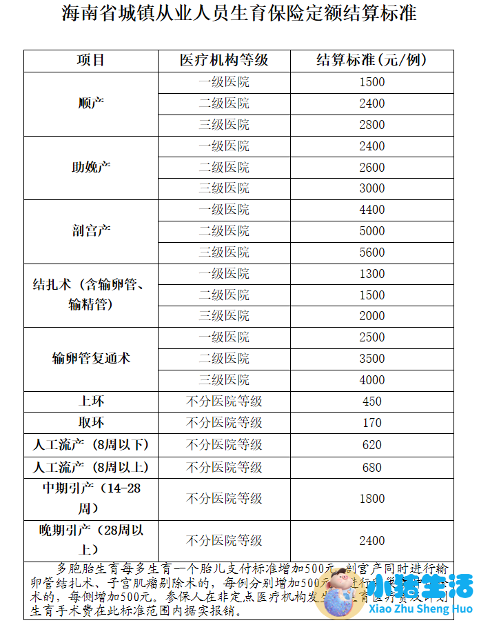 医改自评报告