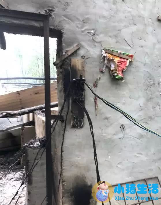 幼儿园育儿经验怎么写