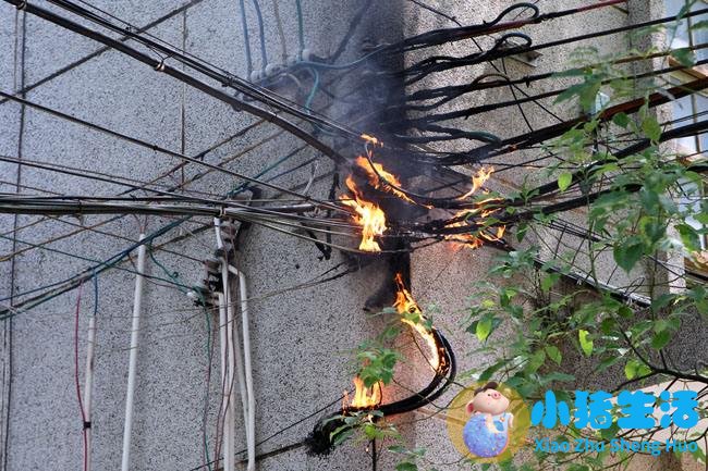 幼儿园育儿经验怎么写