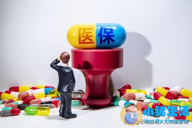 <strong>国务院深化医药卫生体制改革领导小组简</strong>