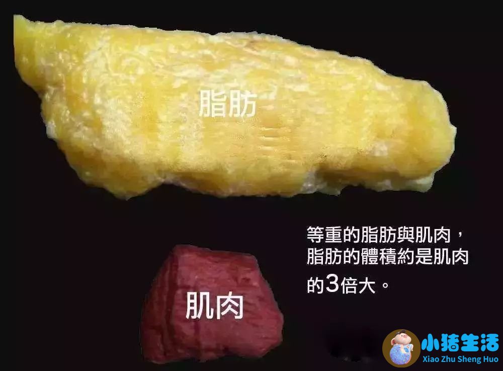 局部减肥知乎