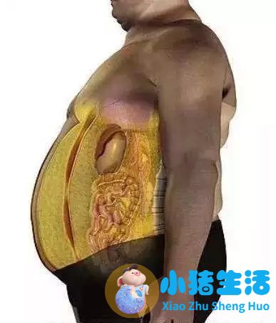 局部减肥知乎