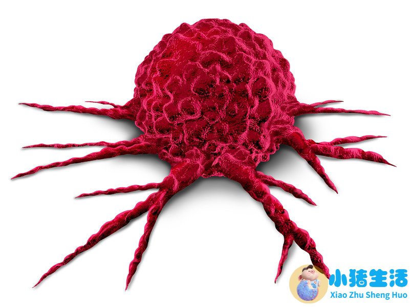 科学孕产健康生活读本·准妈妈宝典