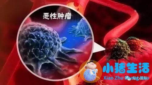科学孕产健康生活读本·准妈妈宝典