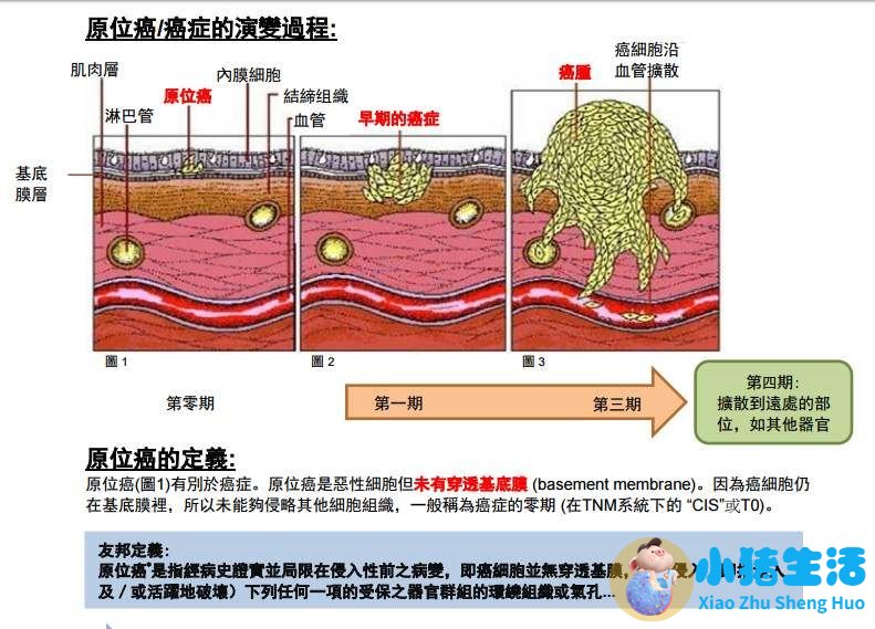 科学孕产健康生活读本·准妈妈宝典