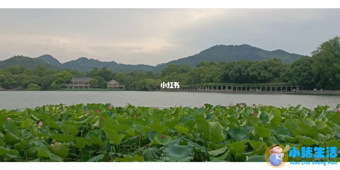 浙江自驾游攻略3日游？浙江自驾游3天最