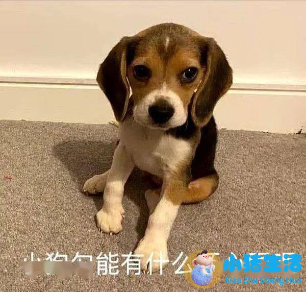 女孩心眼多的表现