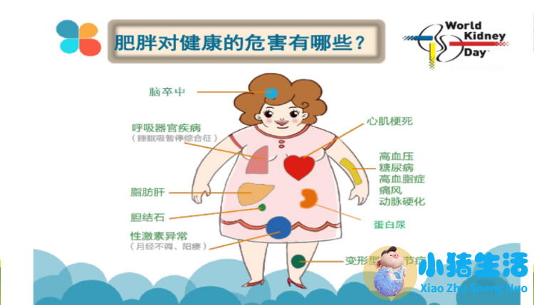 怎么科学减肥最有效