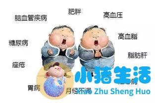 怎么科学减肥最有效
