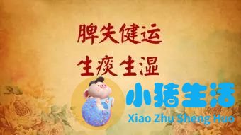 怎么科学减肥最有效