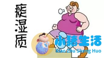 怎么科学减肥最有效