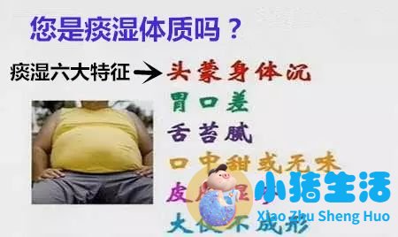 怎么科学减肥最有效