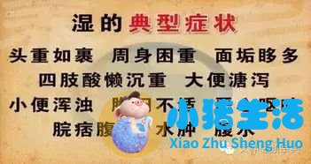 怎么科学减肥最有效