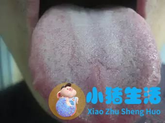怎么科学减肥最有效
