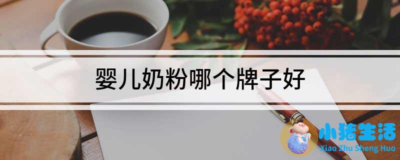 婴儿哪个奶粉比较好