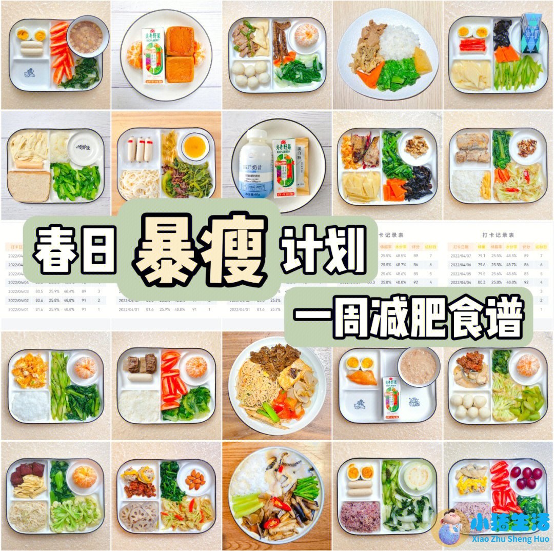 健康有效的减肥方法