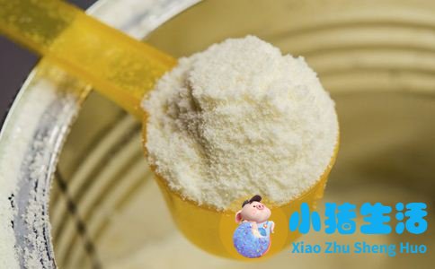 婴儿哪个奶粉比较好