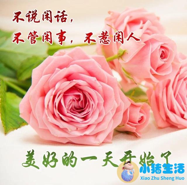 追求被感情伤害过的女孩