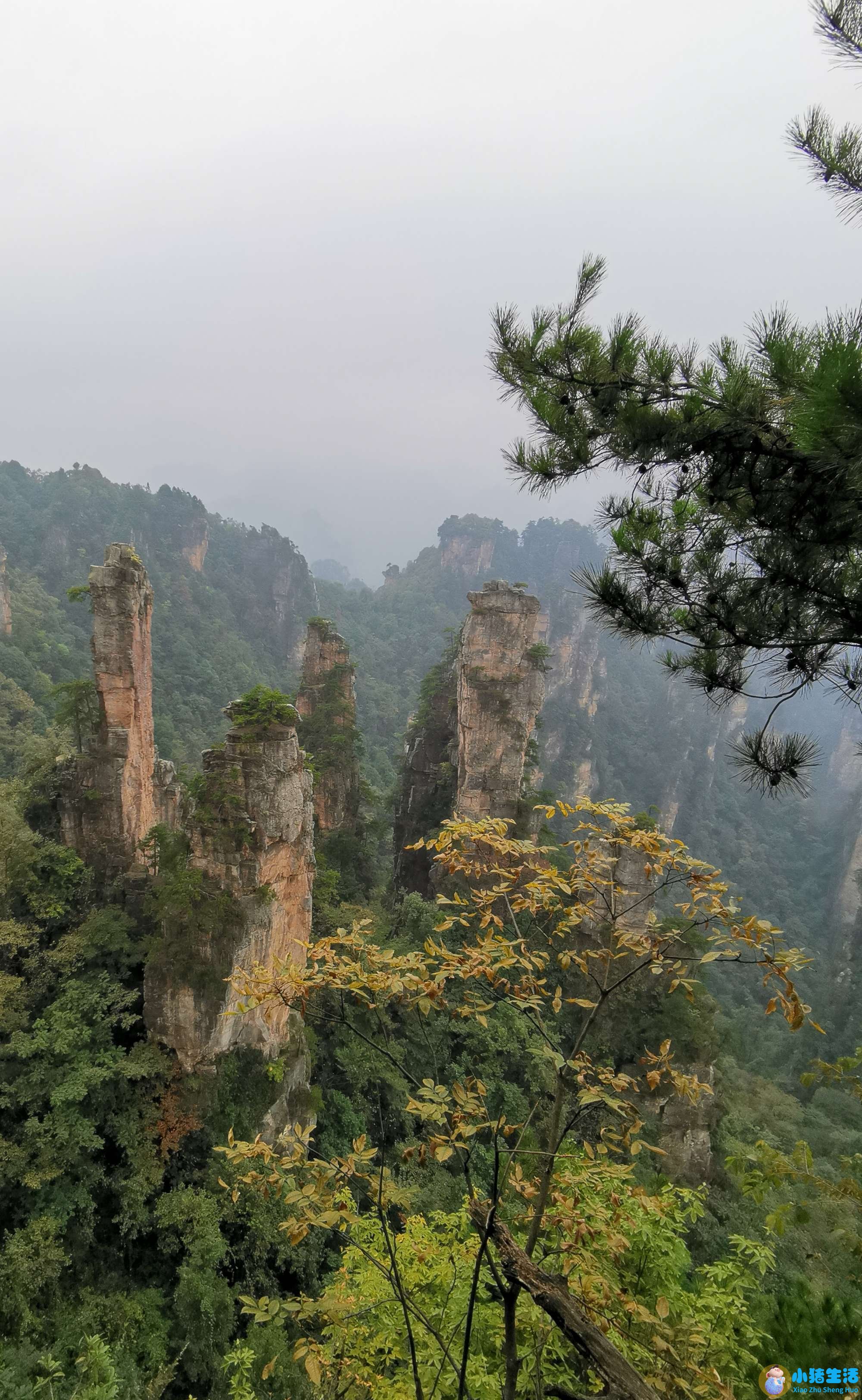 台北旅游攻略自由行2天